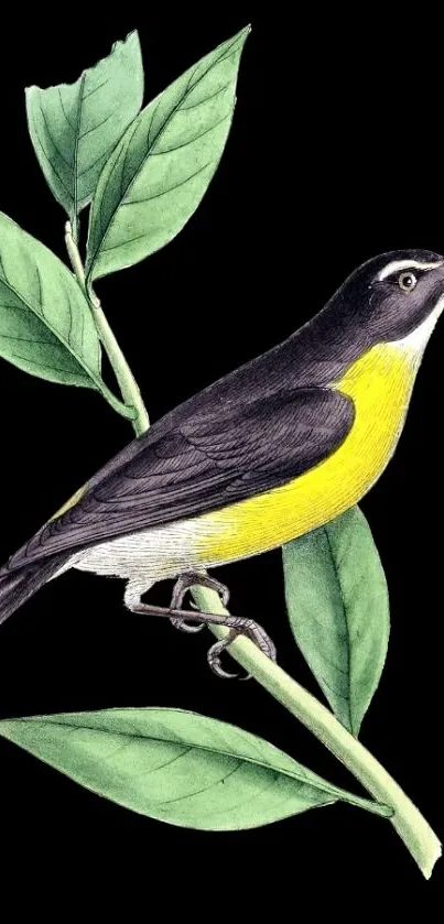 Bird perched on branch with green leaves, vivid illustration.