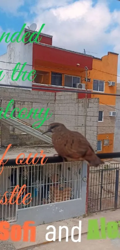 Brown bird perched on urban balcony with colorful buildings.