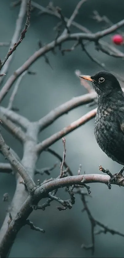 A bird perched on a branch with red berries in a winter setting.