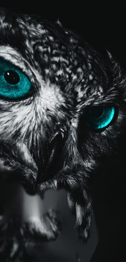 Bird Owl Beak Live Wallpaper