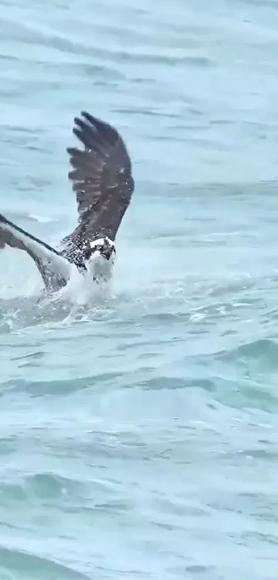 Bird skims the surface of a calm ocean in a serene nature scene.