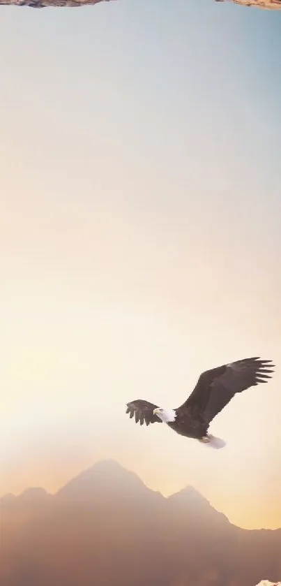 Bird Sky Atmosphere Live Wallpaper