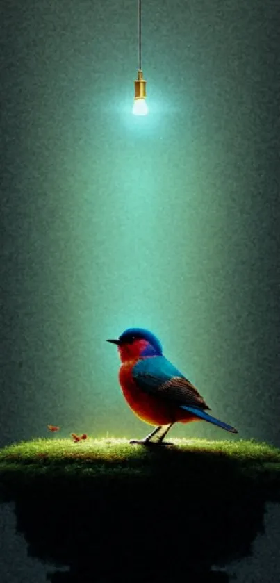 Vibrant bird under a soft light on grassy platform, dark background.