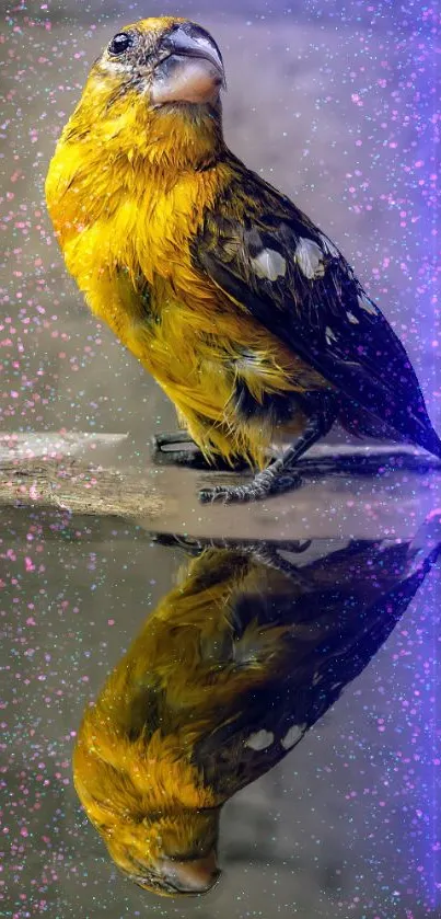 Bird Water Light Live Wallpaper