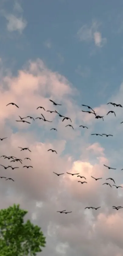 Flock of birds in a pastel blue sunset sky.