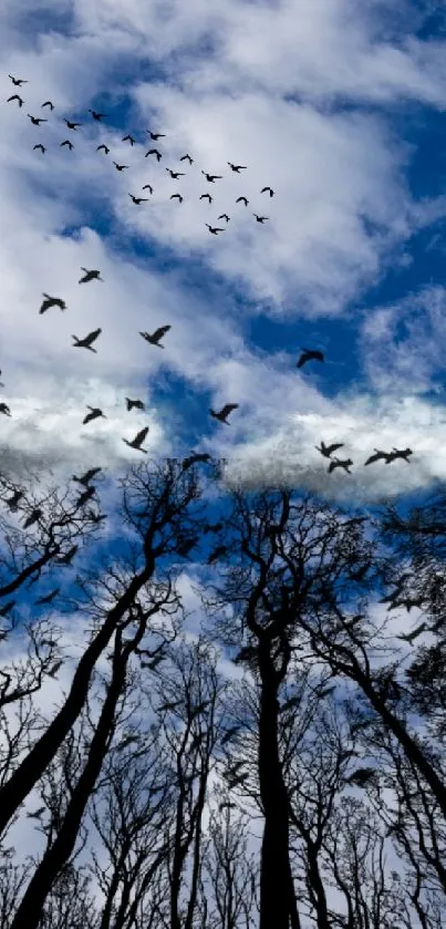 Blue sky wallpaper with birds and trees.