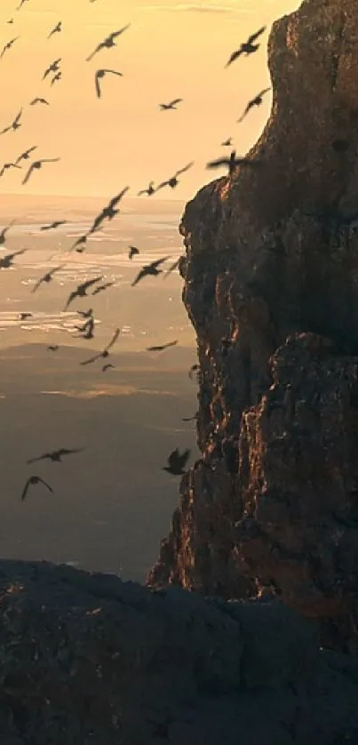 Birds flying over rocky cliffs at sunset in a stunning natural landscape.