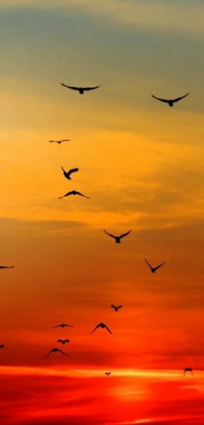 Birds flying across a vivid orange sunset sky, creating a serene landscape.