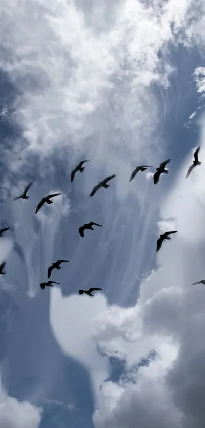 A flock of birds flying in a dramatic cloudy sky.