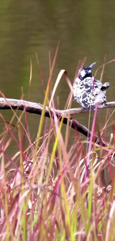 Monochrome birds perched on a branch among tall grass against a green backdrop.