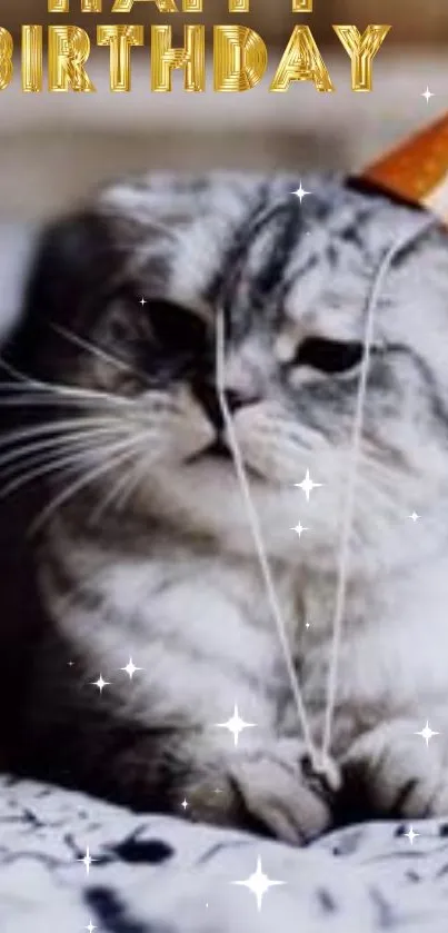 Gray cat in party hat with 'Happy Birthday' text.