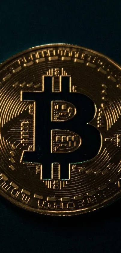 Bitcoin coin on a dark background wallpaper.