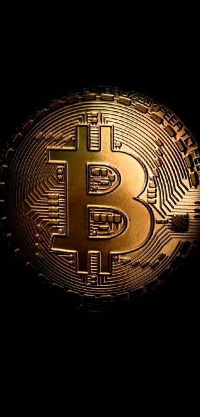 Bitcoin coin on black background, digital art.