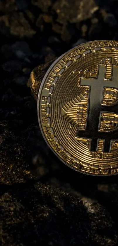 Golden Bitcoin coin on dark rocky surface wallpaper.