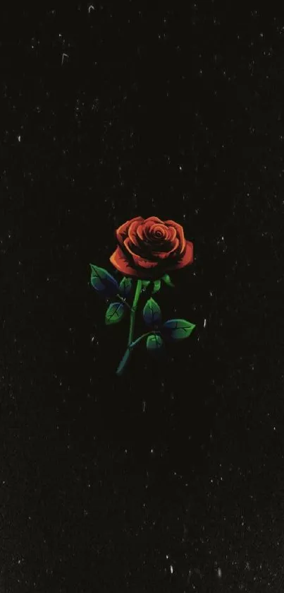 Black mobile wallpaper with a vivid red rose.