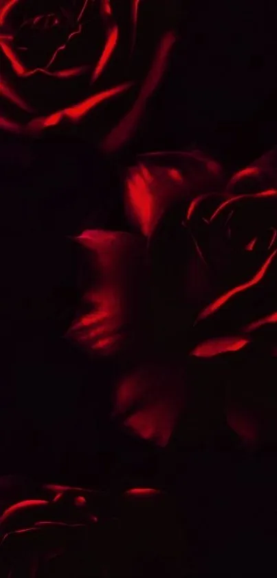 Elegant black and red rose wallpaper with a dark theme.