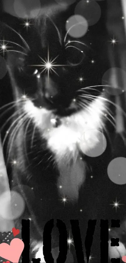 Monochrome cat with love text and sparkling stars.