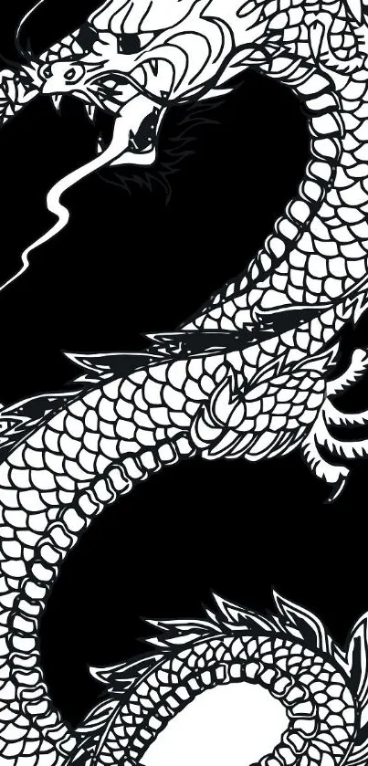 Black and white dragon art with intricate scales.