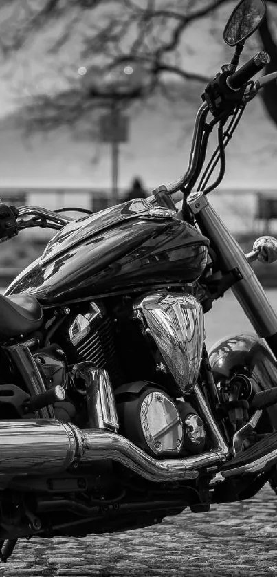 A sleek black motorcycle on a cobblestone path in monochrome tone.