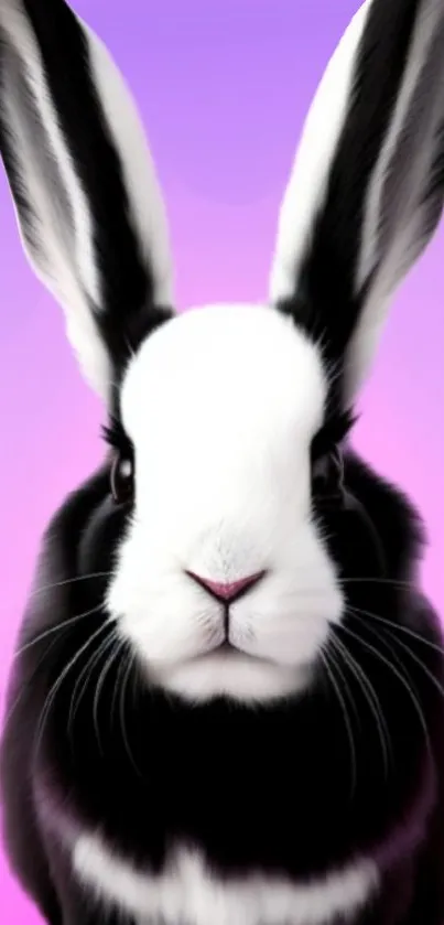 Black and white rabbit on pink-purple gradient background.