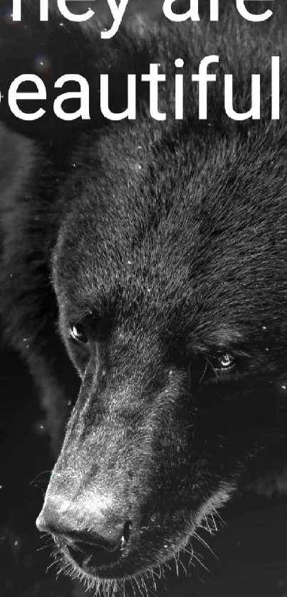 Close-up black bear with text 'They are beautiful'.