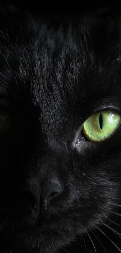 Close-up of a black cat with striking green eyes, perfect for wallpaper.