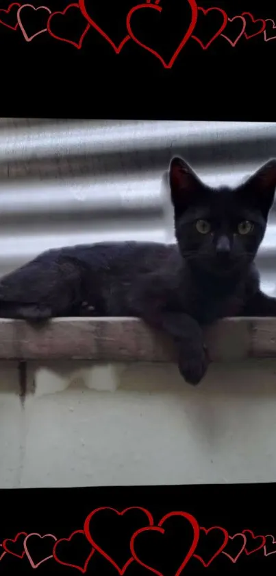 Black cat on ledge with red heart design.