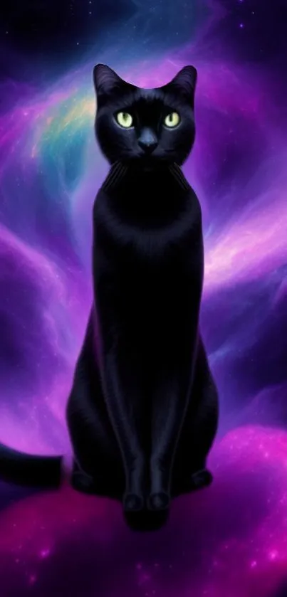 Black cat sitting amidst a vibrant purple cosmic nebula background.