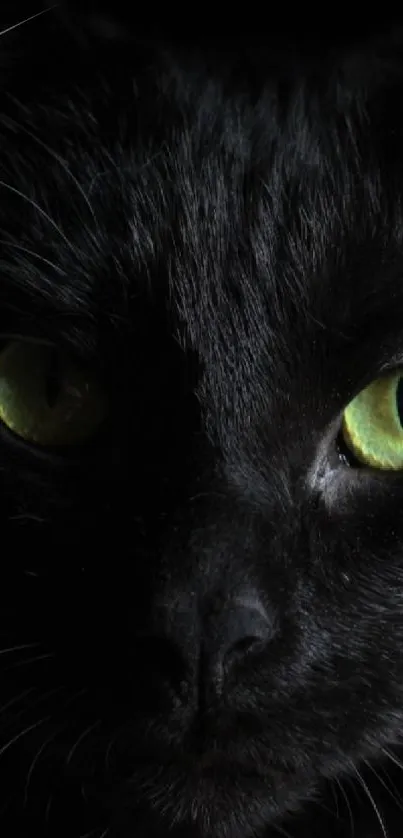 Black cat with green eyes in a dark background wallpaper.