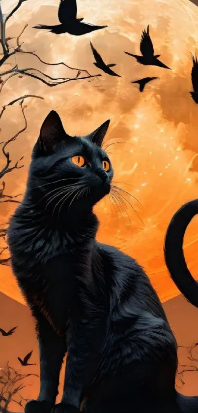 Black cat with moon background, orange night sky.