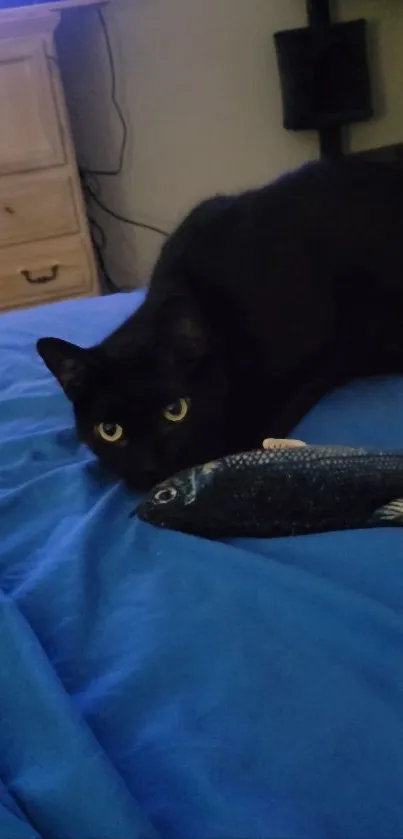 Black cat on a blue bed with a toy fish, creating a cozy, serene scene.