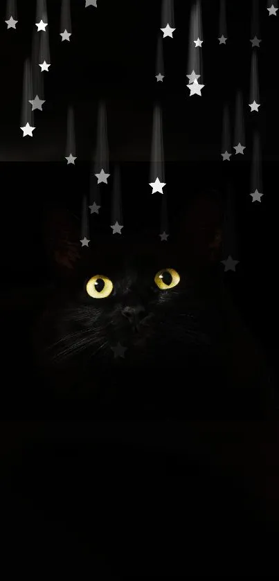 Black cat with yellow eyes under starry sky.