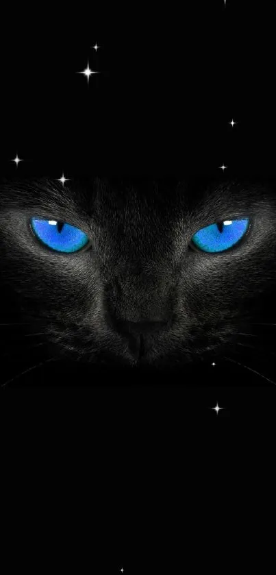 Black cat with striking blue eyes in dark background wallpaper.
