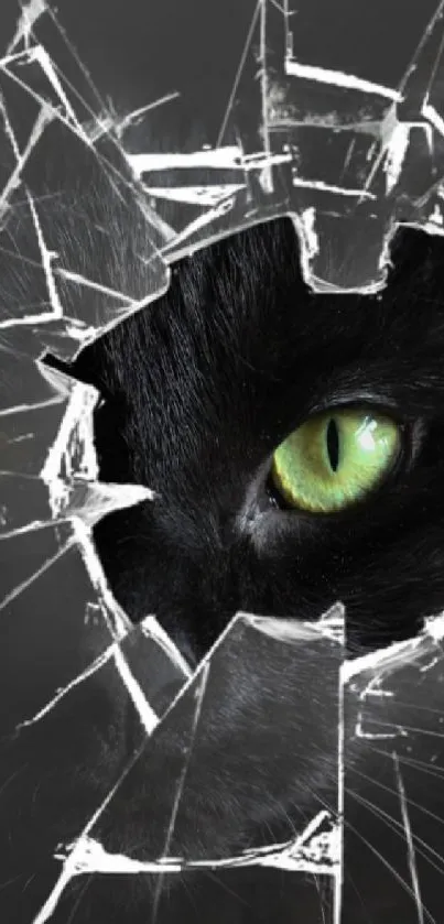 Black cat with green eyes through broken glass on a dark background.