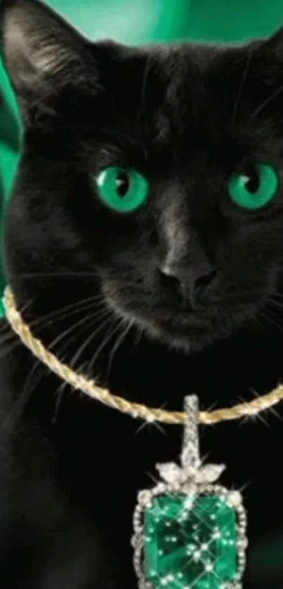 Black cat with emerald eyes and necklace.