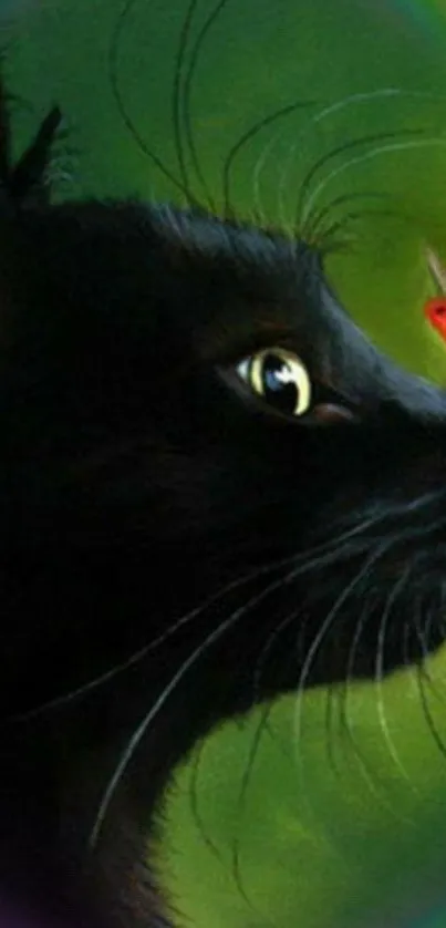 Artwork of a black cat and ladybug on a green background.