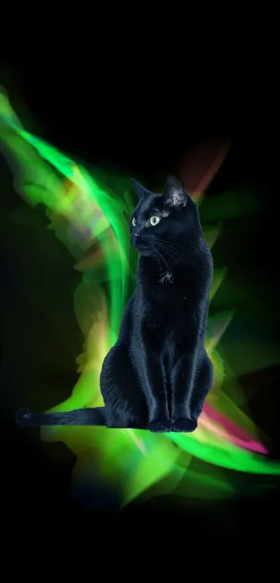 Black cat with neon glow on dark background wallpaper.