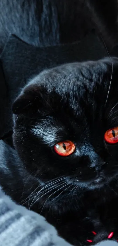 Black cat with orange eyes on a striped background walking.