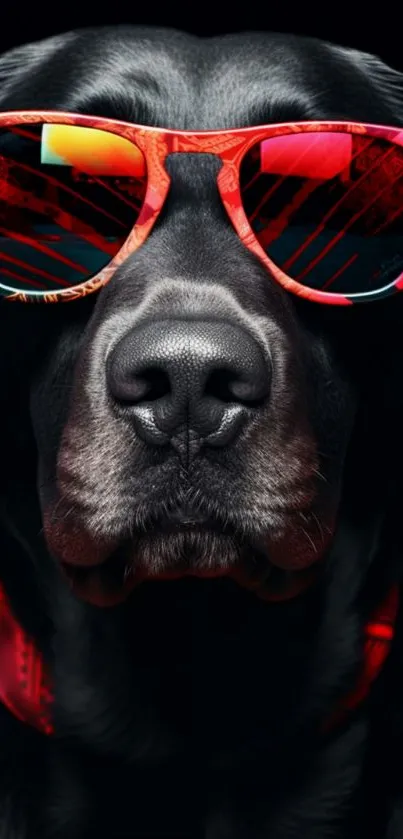 Stylish black dog wearing vibrant sunglasses.