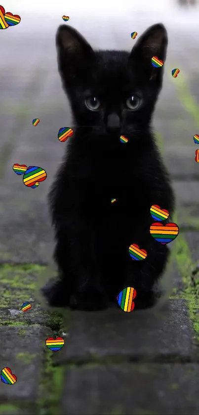 Black kitten on path with rainbow heart accents wallpaper.