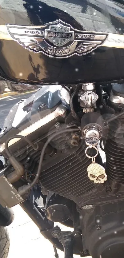 Close-up of a black motorcycle with chrome details and skull emblem.