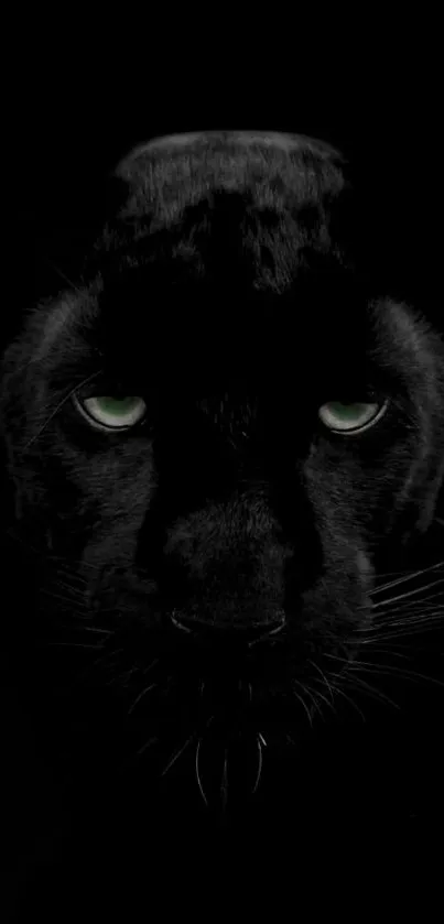 Black panther with piercing eyes, dark mobile wallpaper.