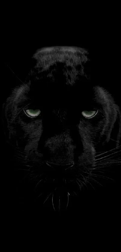 Black panther with glowing eyes on a dark background wallpaper.