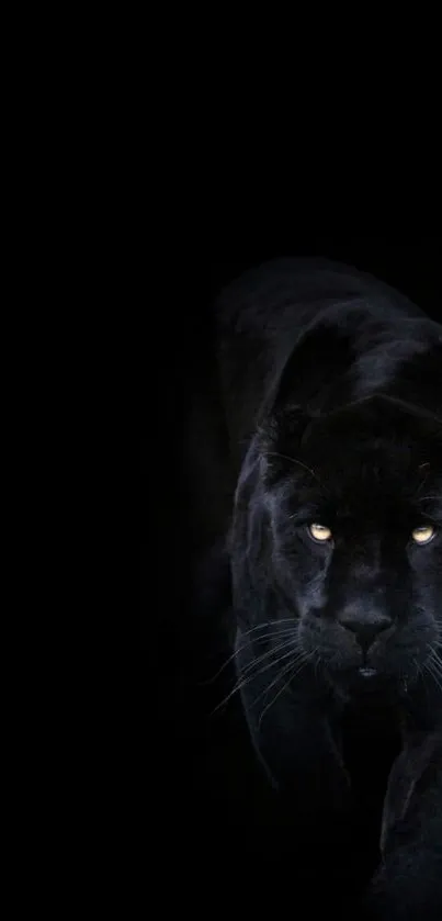 Sleek black panther wallpaper design for mobile devices.