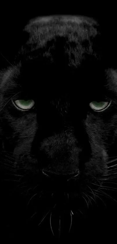 Black panther with green eyes on a dark background, mobile wallpaper.