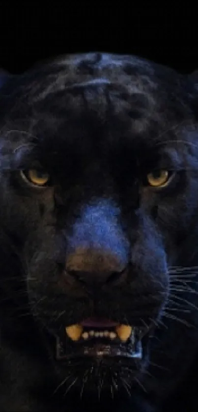 Majestic black panther with piercing eyes on a dark background.