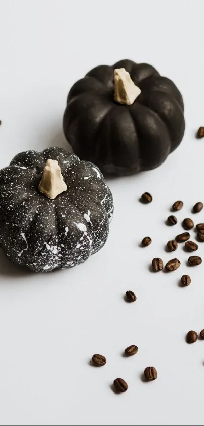 Black pumpkins with coffee beans on a light surface.