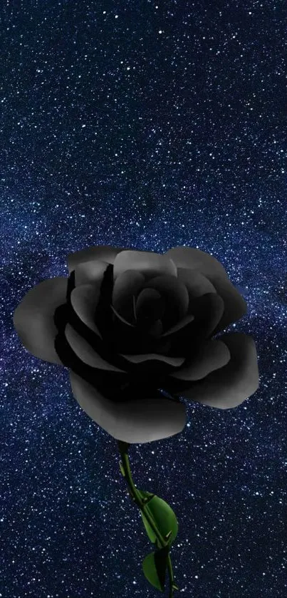 A striking black rose against a starry dark blue sky.