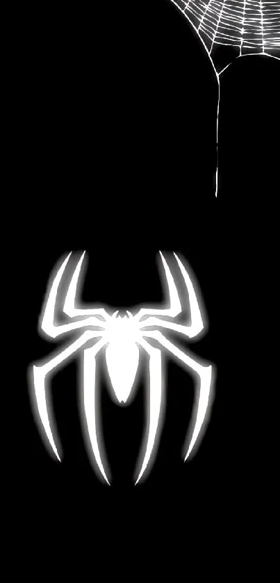 Black silhouette of a spider with a web in the corner on a dark background.