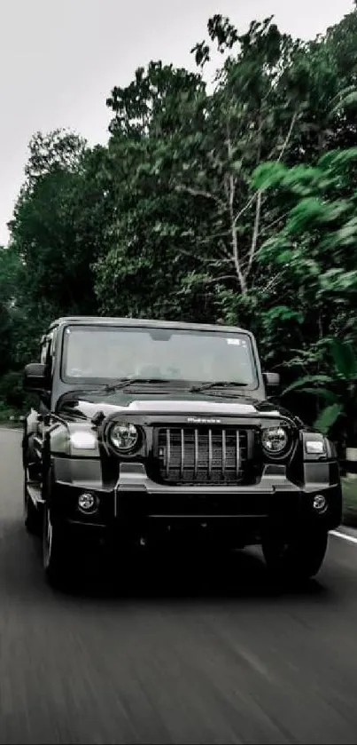 Black SUV driving through a lush green forest road.